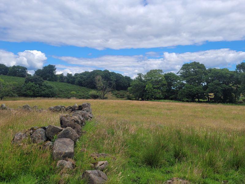 Grazing land by ruin