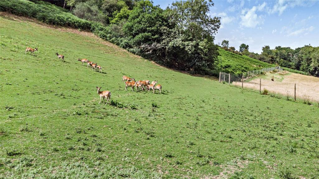 Deer Enclosure