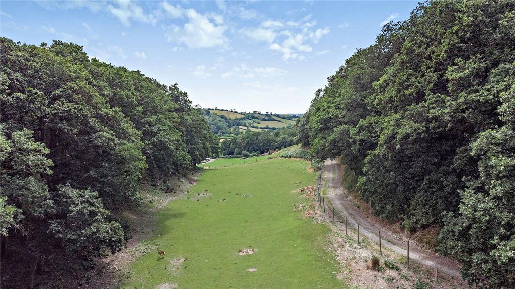 Deer Enclosure
