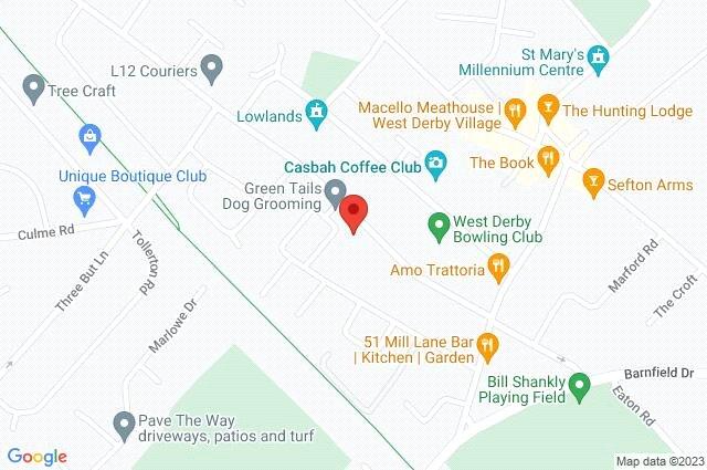 Google Maps Image