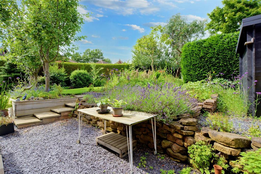 Garden 3.jpeg