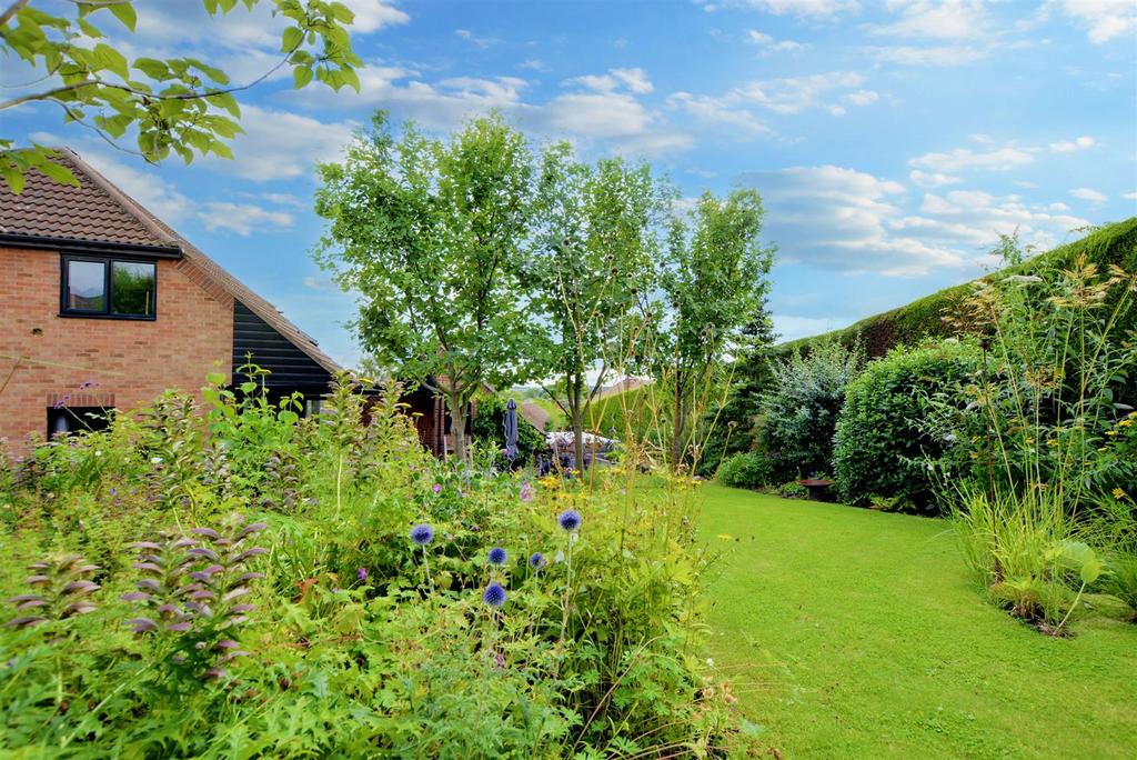 Garden 7.jpeg