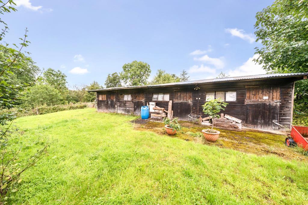 Photos