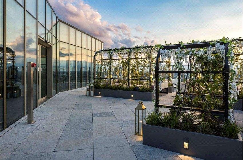 Roof Garden