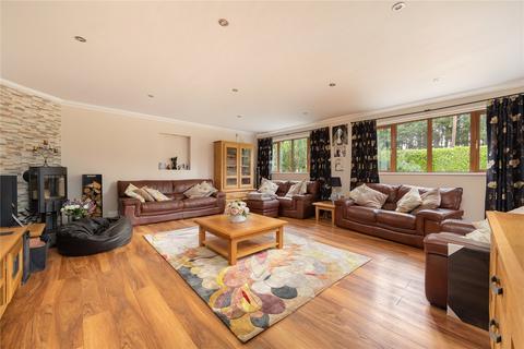 4 bedroom equestrian property for sale - Biddenfield Lane, Shedfield, Southampton, Hampshire, SO32