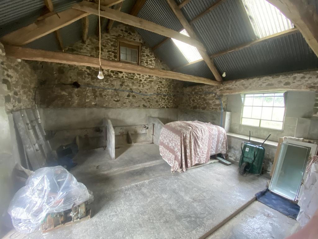 Cow Shed