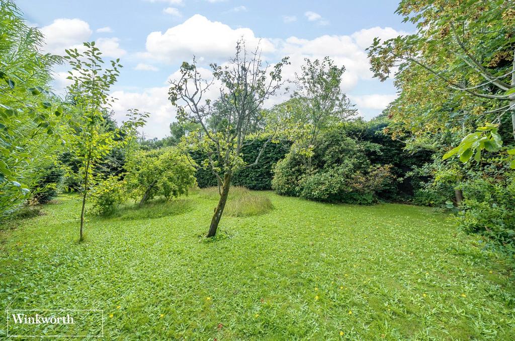Part Of Garden