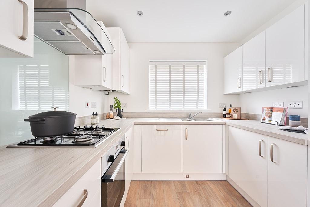 Modern Kitchen