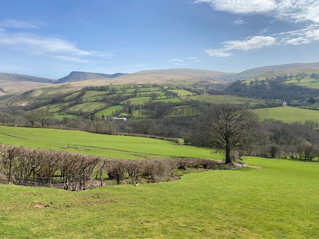 Llanddeusant, Llangadog, SA19 4 bed property with land for sale £