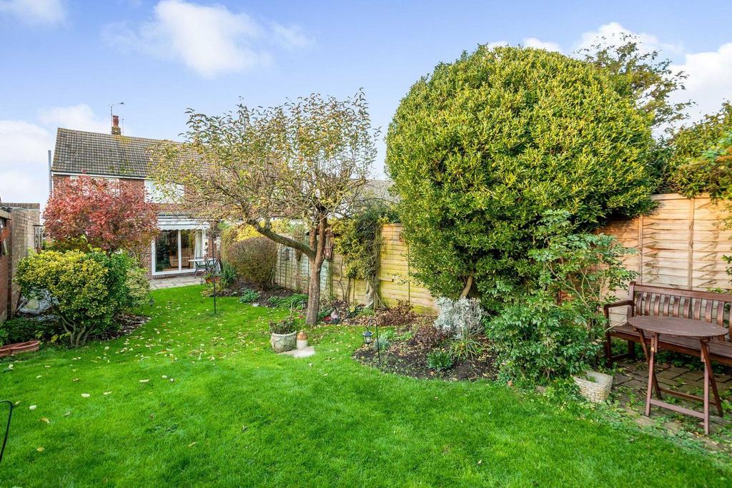 Garden from back.jpeg