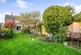 Garden from back.jpeg