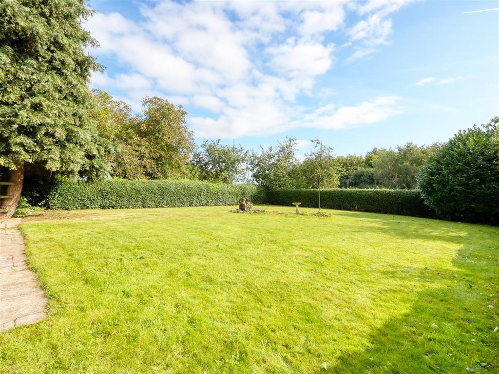 Rear garden
