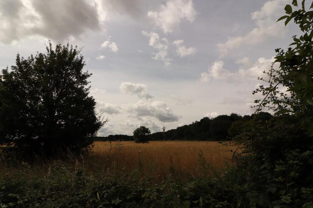 Img 9606.jpg