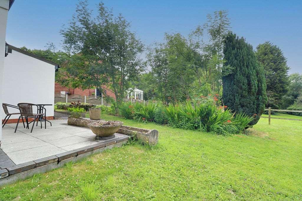 Garden at Back