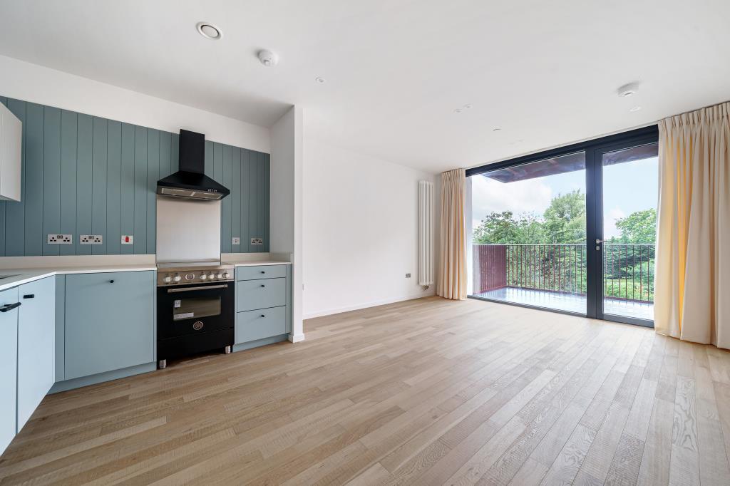 Kitchen / Living Area