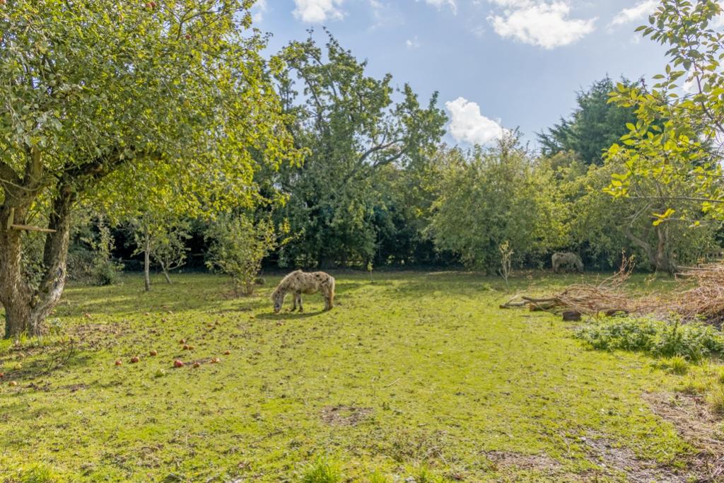 Ash Tree Farm (Amber Hill) 12