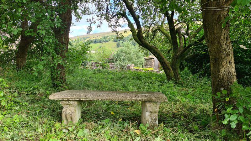 Orchard garden