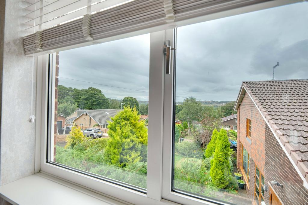 Window View