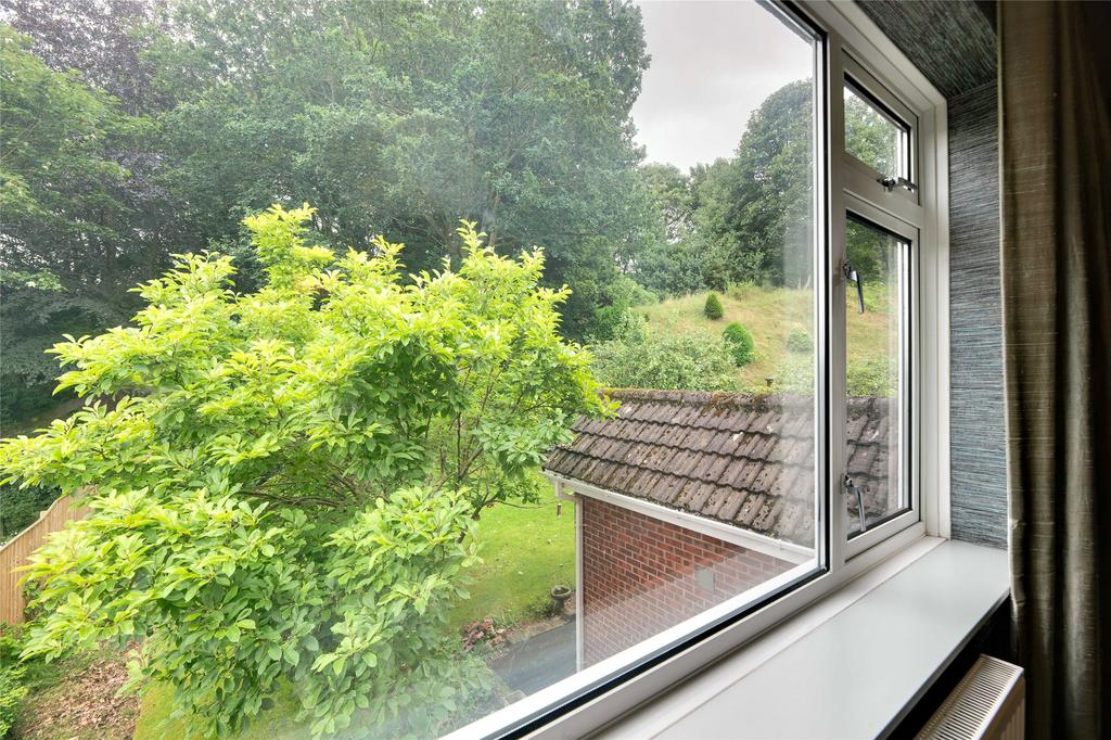 Window View
