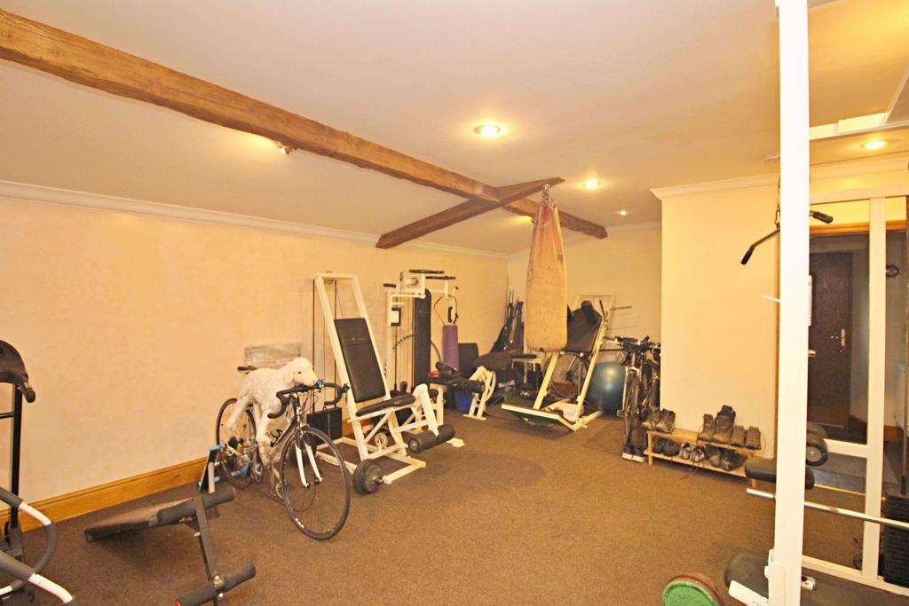 Home Gym/Entertainment Room