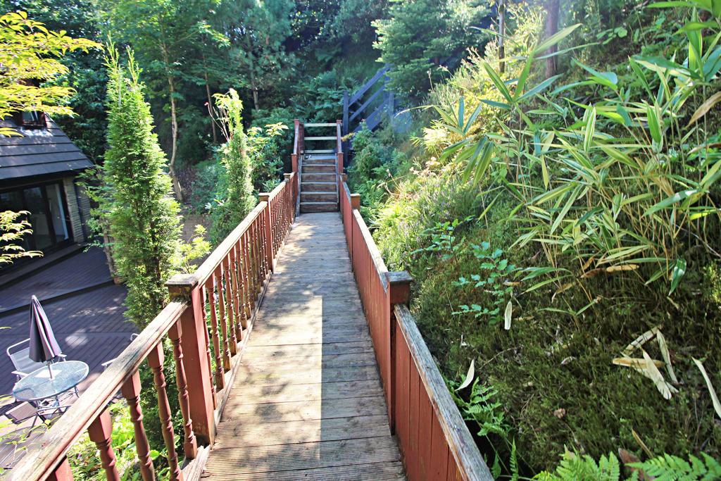 Rear Garden Walkway