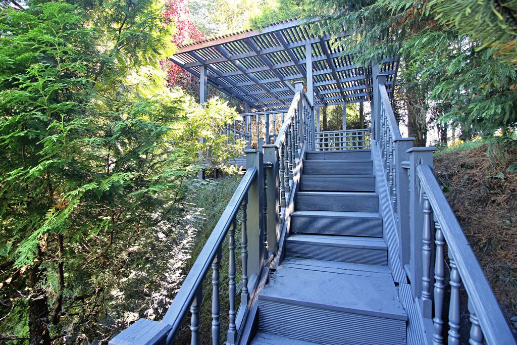 Steps Leading To Upper Terrace