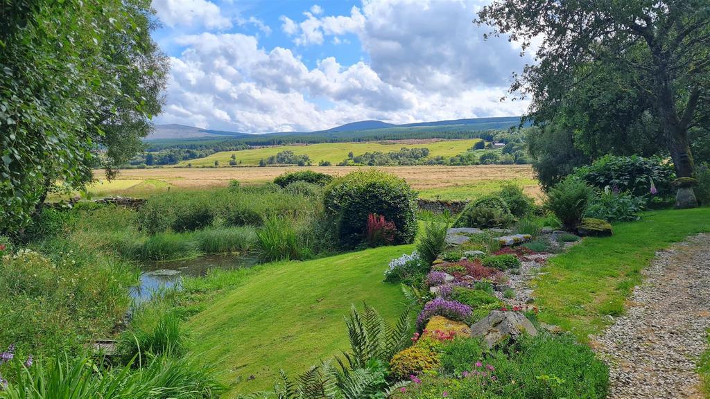 View with pond