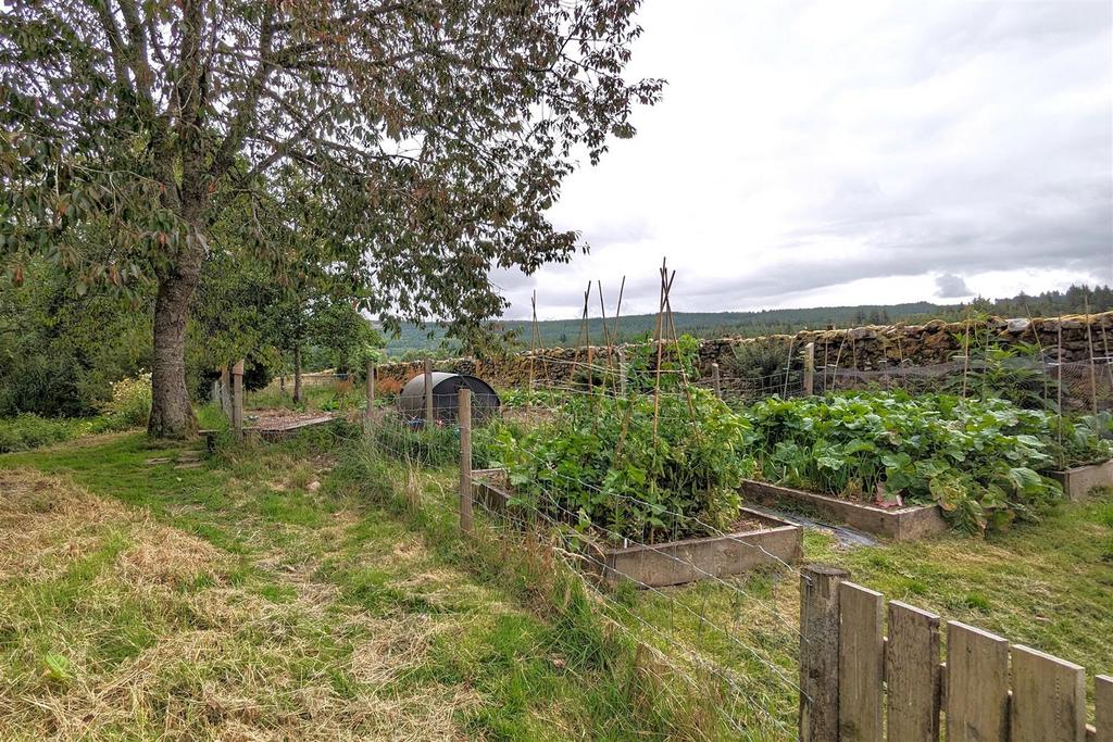 Vegetable patch