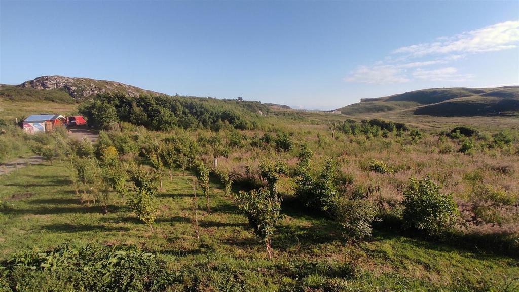 Land