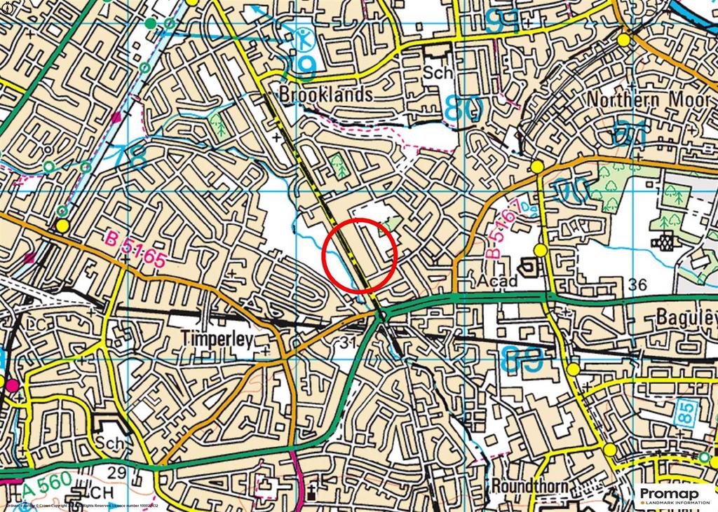 Town Map