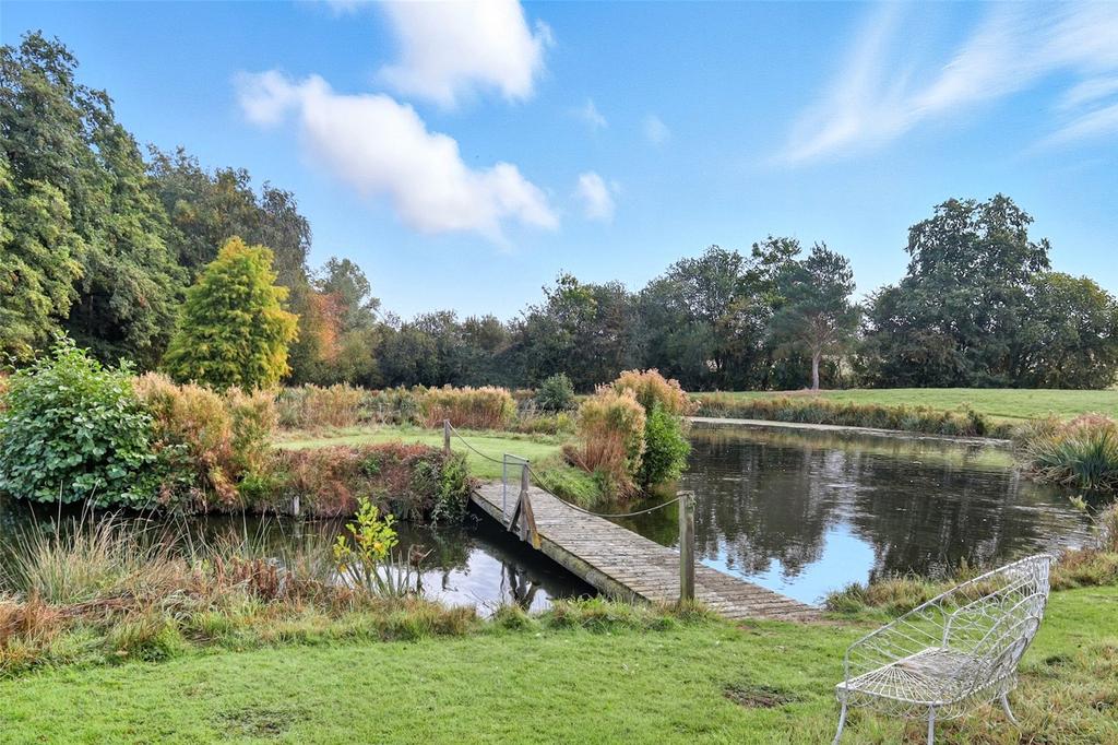Pond