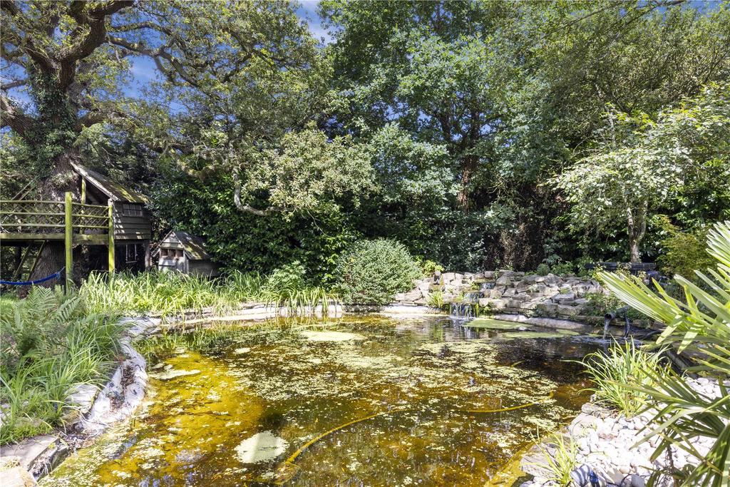 Pond