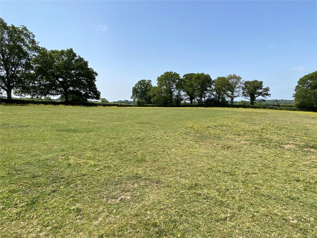 Field