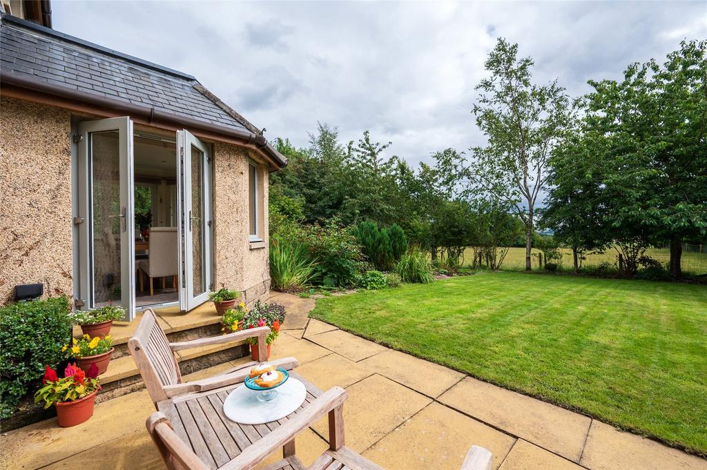 Patio &amp; Lawn
