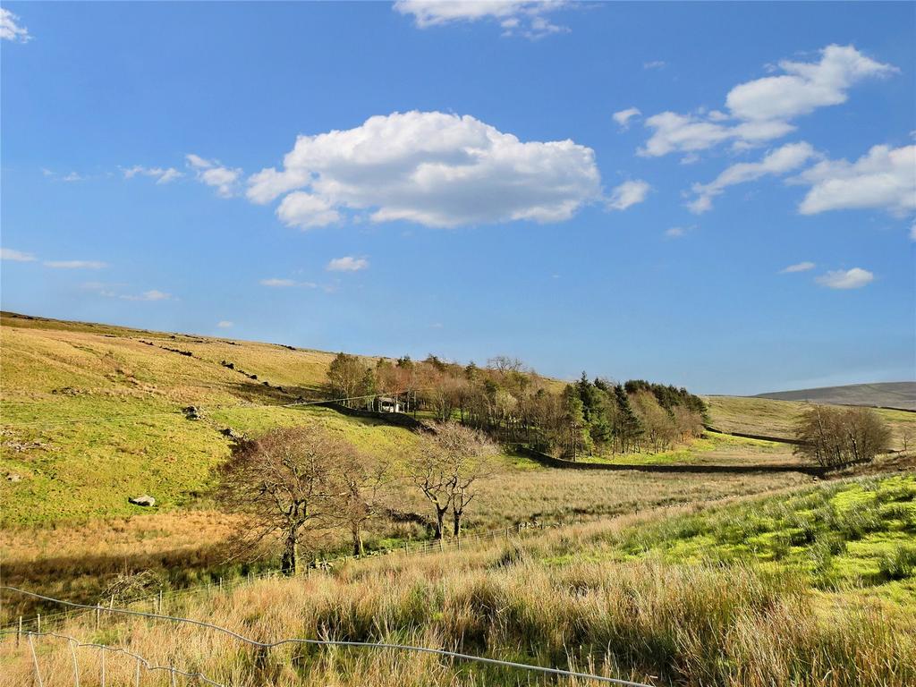 Picture No. 46