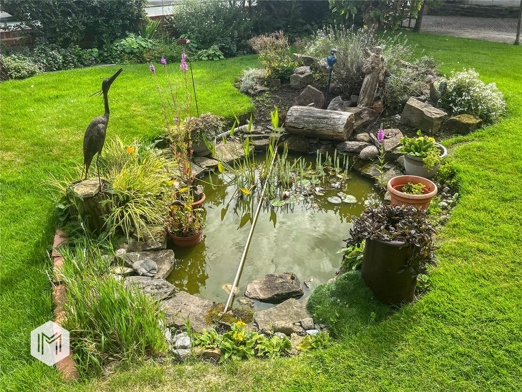 Picture 21
