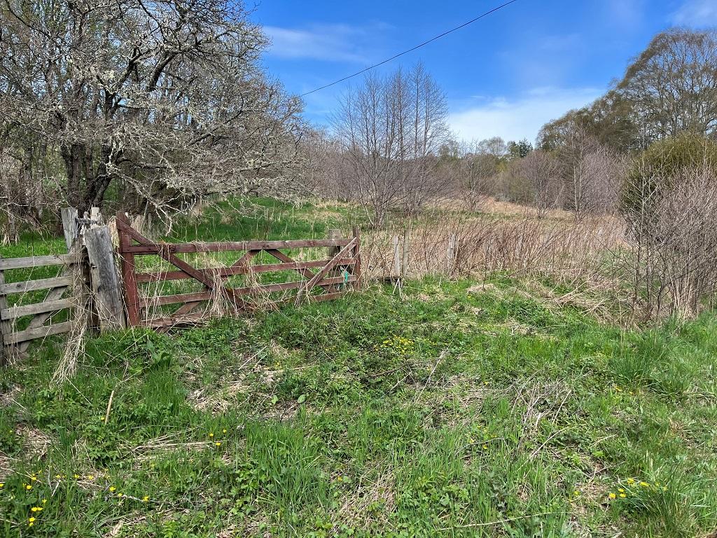 Lower gate