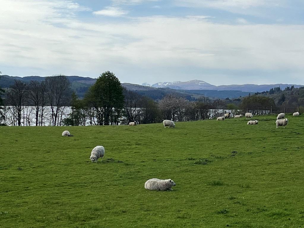 Loch Meikle nearby