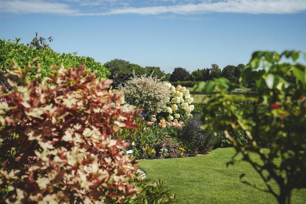 Garden 13.JPG