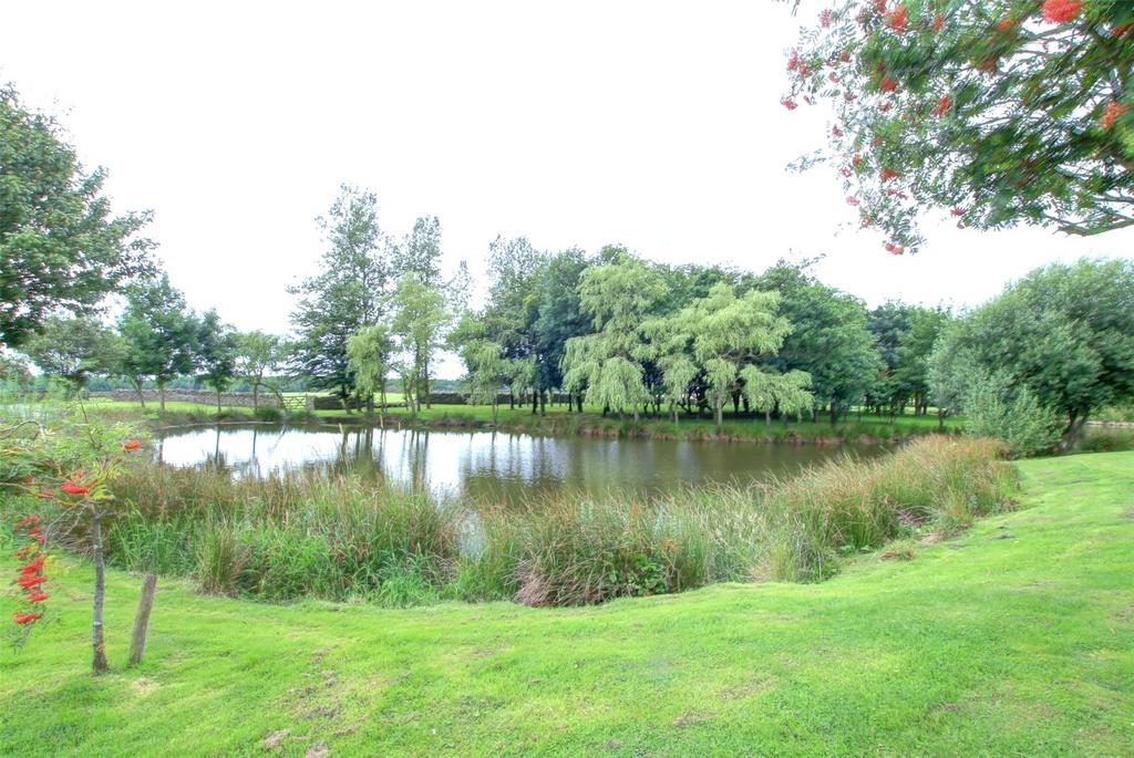 Lake