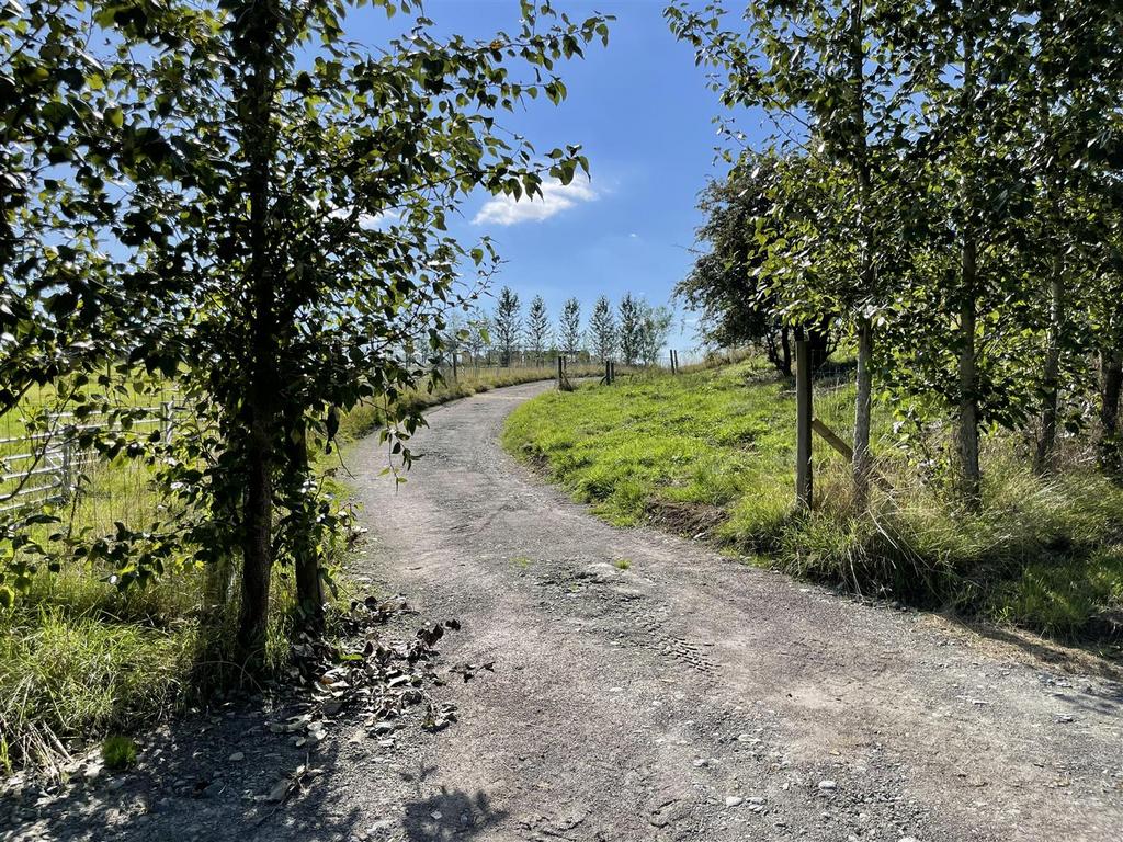 Entrance Drive.JPG