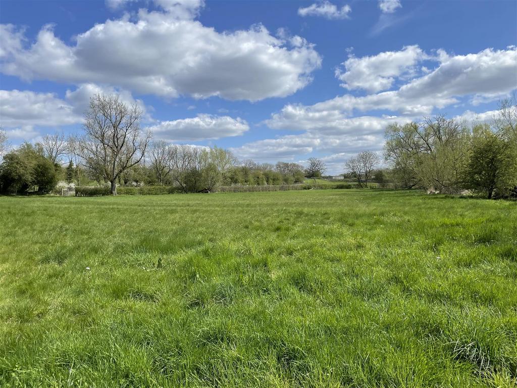 Meadow Fields by river.JPG
