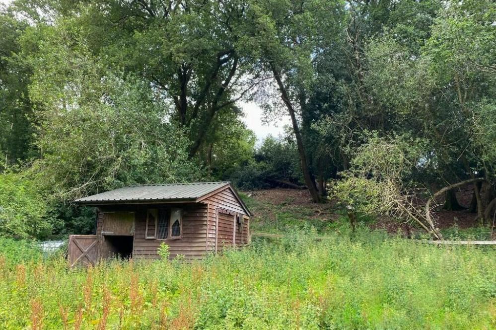 Land Off Linford Road, Ringwood, BH24 3JN Land for sale £50,000