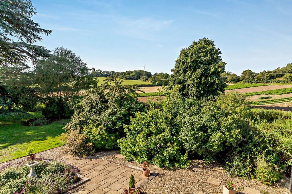 Elevated Rear Garden