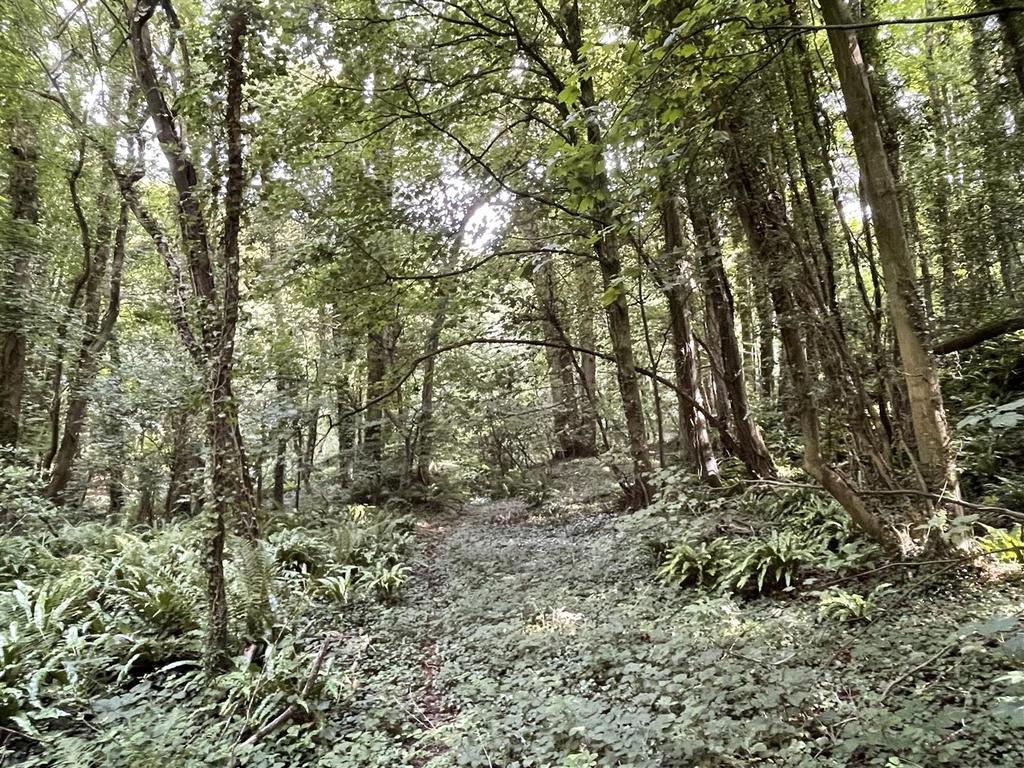 Wellington Farm land for sale £60,000