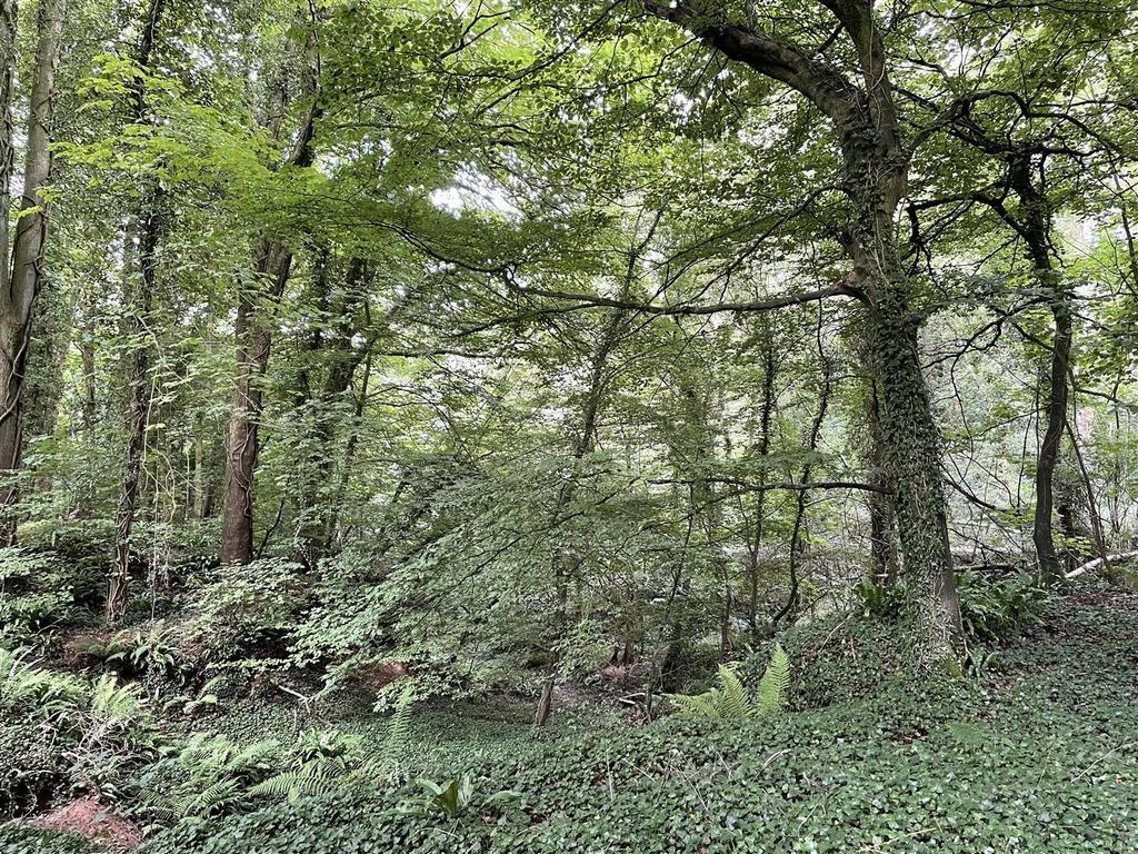 Wellington Farm land for sale £60,000