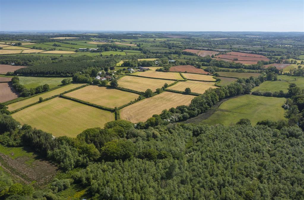DJI 0115.jpg
