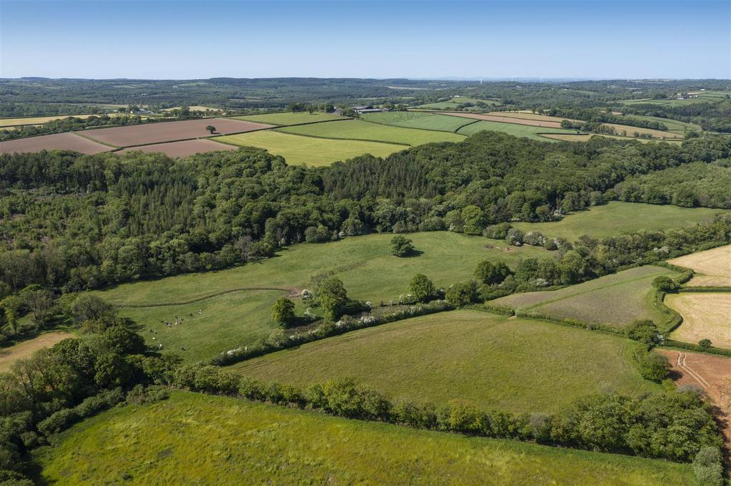 DJI 0150.jpg