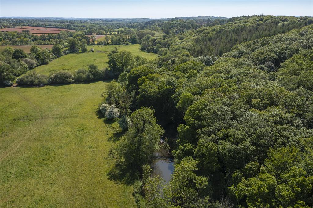 DJI 0165.jpg