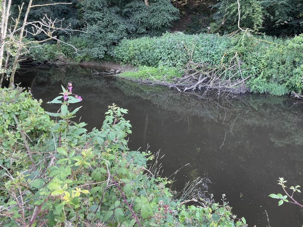 River Torridge .jpeg